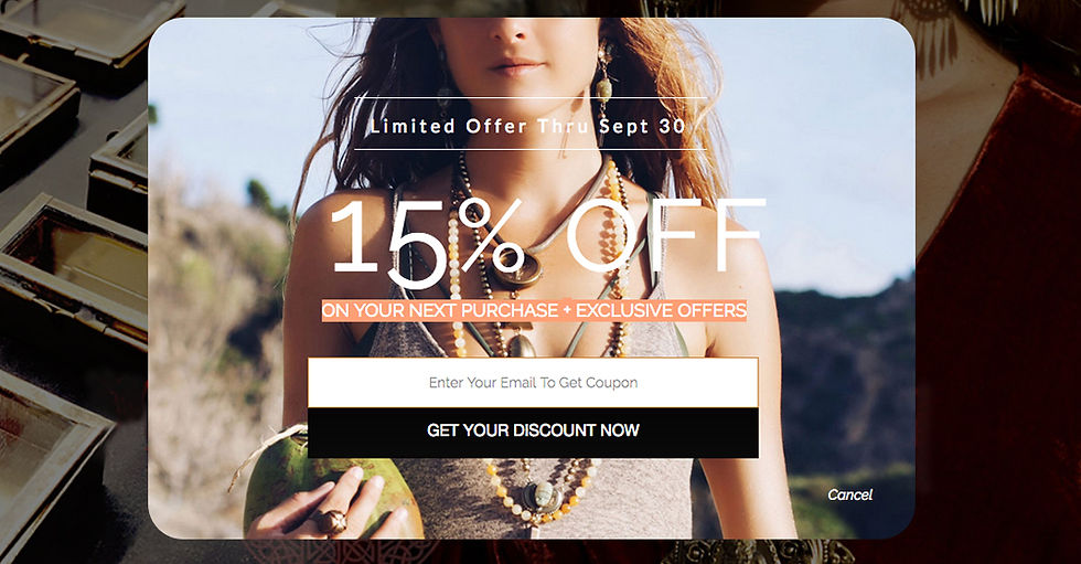 Jan Michaels - Subscription Pop Up
