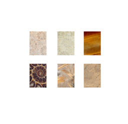 elation by design art direction