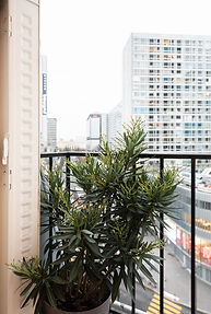 architecte, dplg, architecte HMONP, architecte d'intérieur, architecture, architect, arquitecto, architecte español, arquitecto español toulouse, architecte autour de moi, architecte toulouse, architecte d’interieur dplg, architecte minimes, architecte barrieres, architecte barrieres de paris, architecte capitole, hmo archi, hmo architecte, 3d architecture, vanesa prado martín, vanessa prado, vanessa prado martin, vanesa prado martin, style, moderne, classique, scandinave, construction, maison, appartement, rénovation maison intérieur, 3D, images 3D, perspectives, réaménagement, reamenagement, restructuration, agencement, décoration, design, extension, surelevation, surélévation, permis de construire, DP, PC, ERP, commerce, local commercial, local entreprise, Toulouse, minimes, la vache, la salade, barrieres de paris, blagnac, aucamville, les chalets, matabiau, compans, capitole, carmes, esquirol, borderouge, trois cocus, Idées design intérieur pour appartement minimaliste, Comment ch