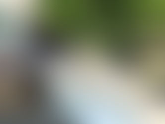 Capture Natural Sound with Video Clips