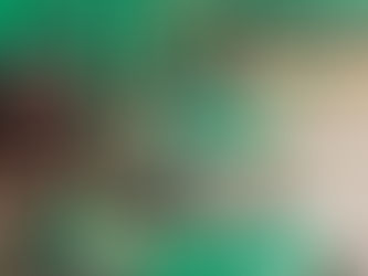 Grifk P11-12 junioreiden fysiikkaharjoittelua Granin hallilla.