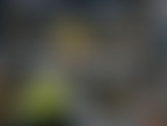 Como trocar o Gás de Empilhadeira?