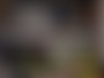 Problemas mais Comuns em Empilhadeiras