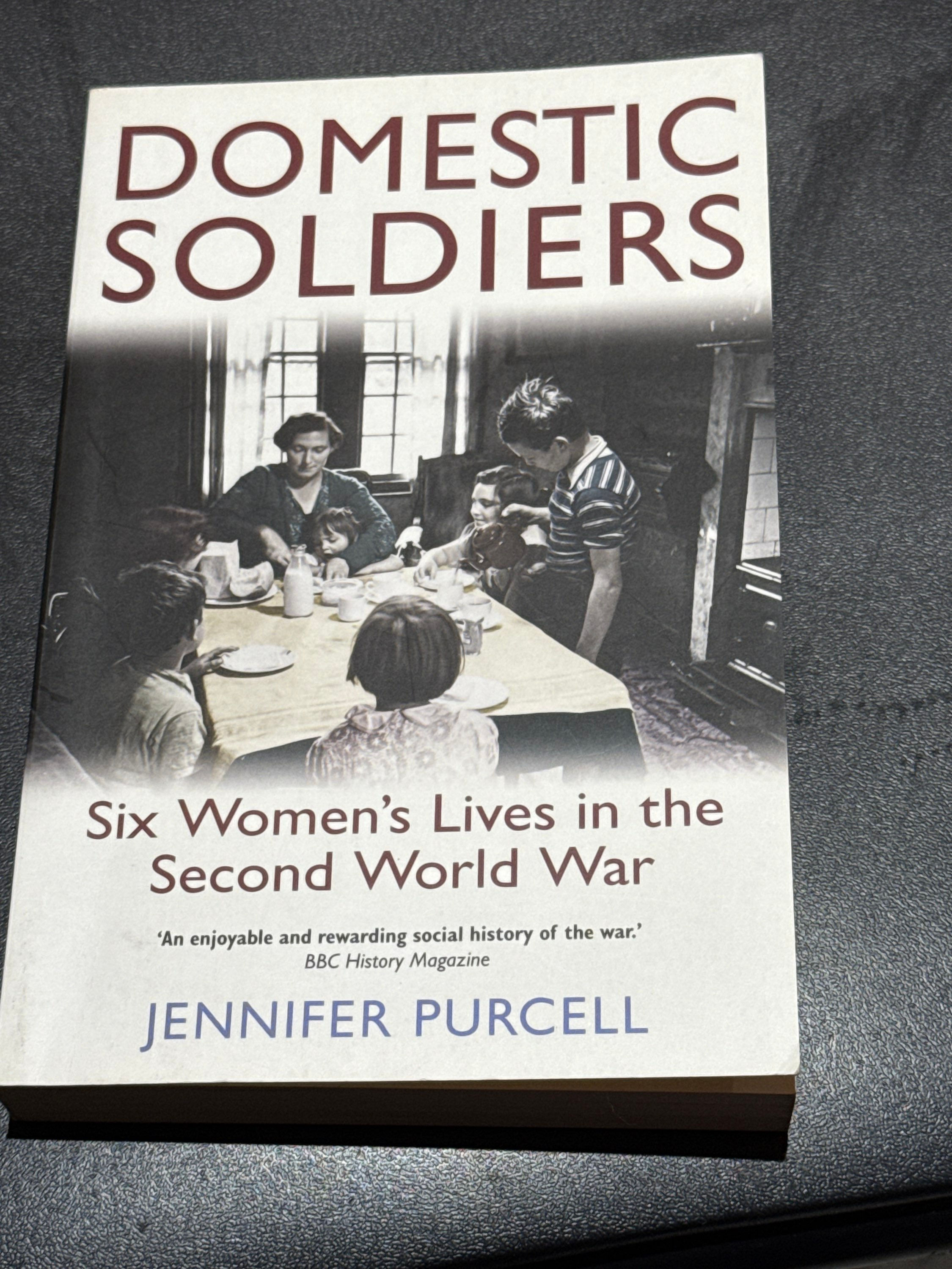 Domestic Soldiers;  Jennifer Purcell
