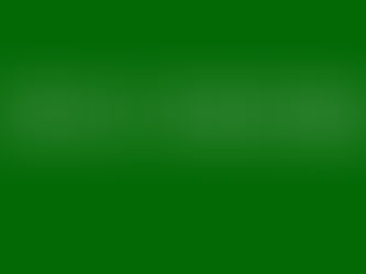 Fish Fry T-Shirt Order Form