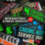 Thumbnail: Mystery Patch Pack (Velcro) Patches Random