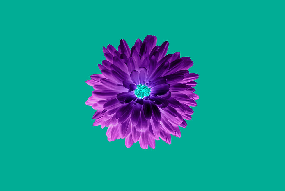 Sound-in-bloom-background.jpg