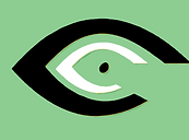 brighteye eye logo green.png