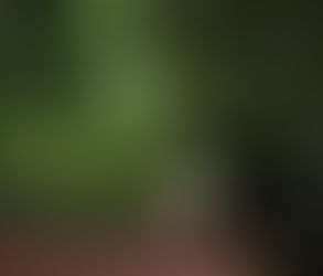 Frá sjamanisma til sannleikans