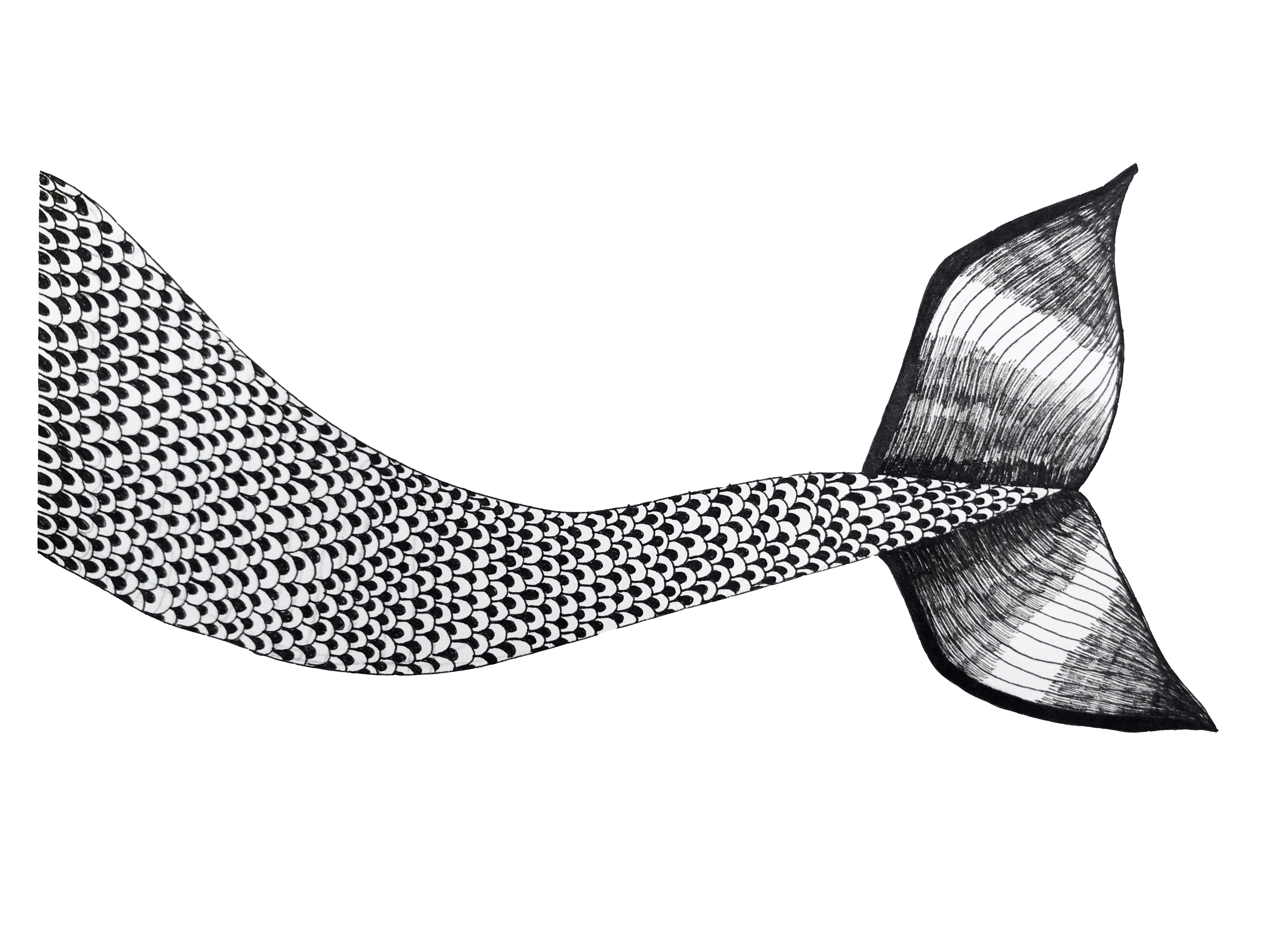 coda di sirena animata 