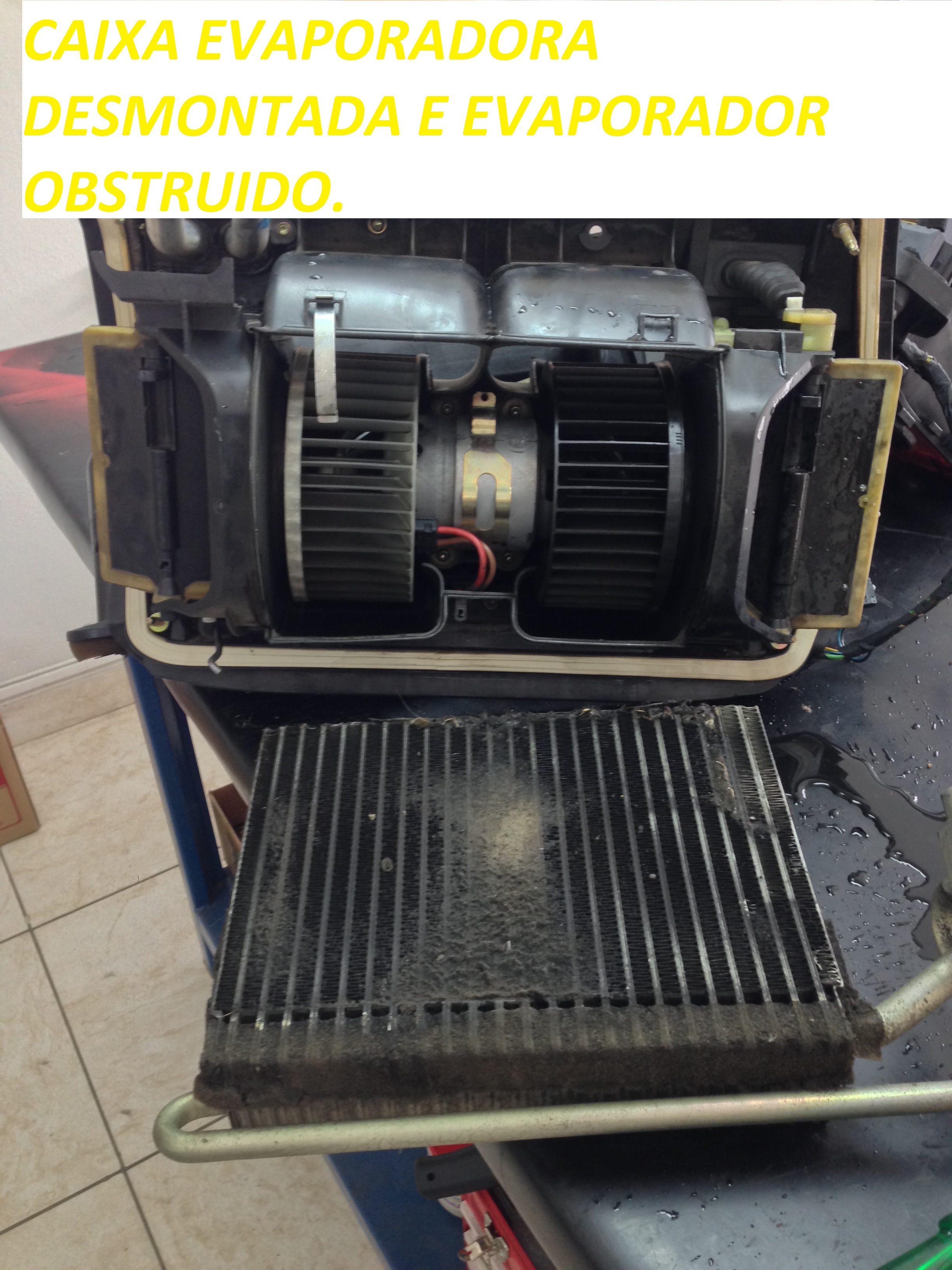 Evaporador limpo