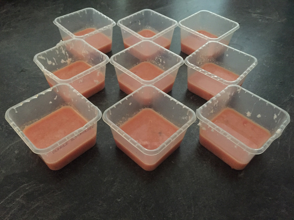 Plastikbecher mit Roh Eismasse für Hundeeis