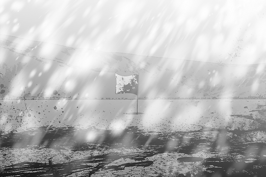 img (2).png