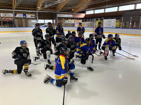 Eishockey Sommer Camp 2026