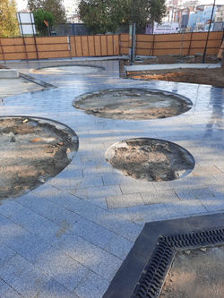 WhatsApp Image 2022-08-21 at 12.31.48 (3).jpeg