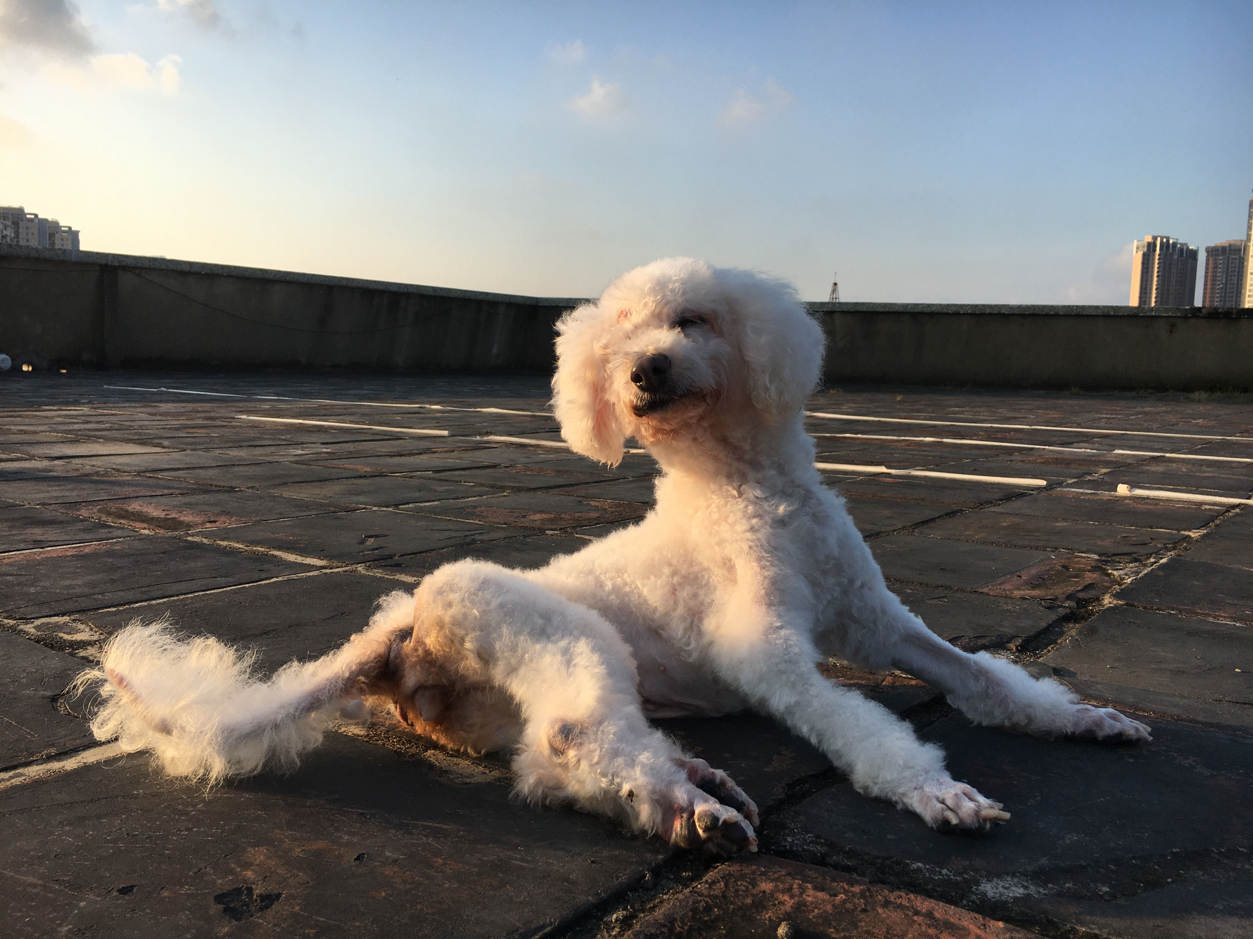 常歡（已死亡）