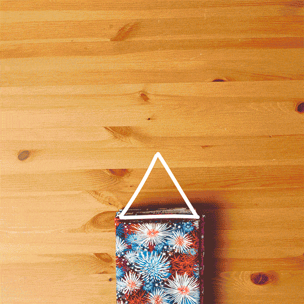 Firecracker-Fourth-Fabric_low.gif