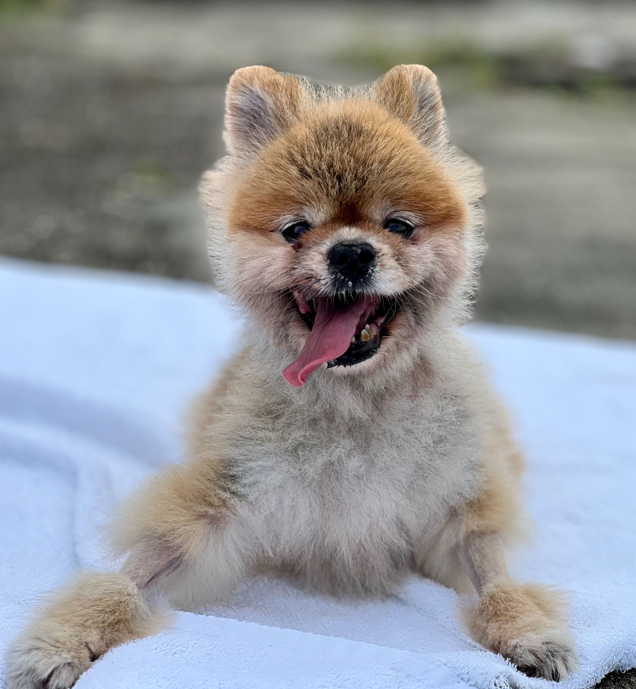 奶奶（已死亡）