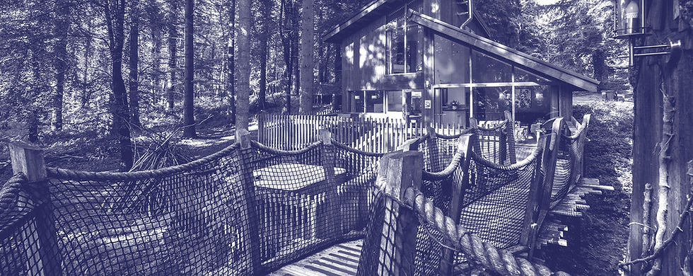 ForestHolidays_Base_1903x758-opt.jpg