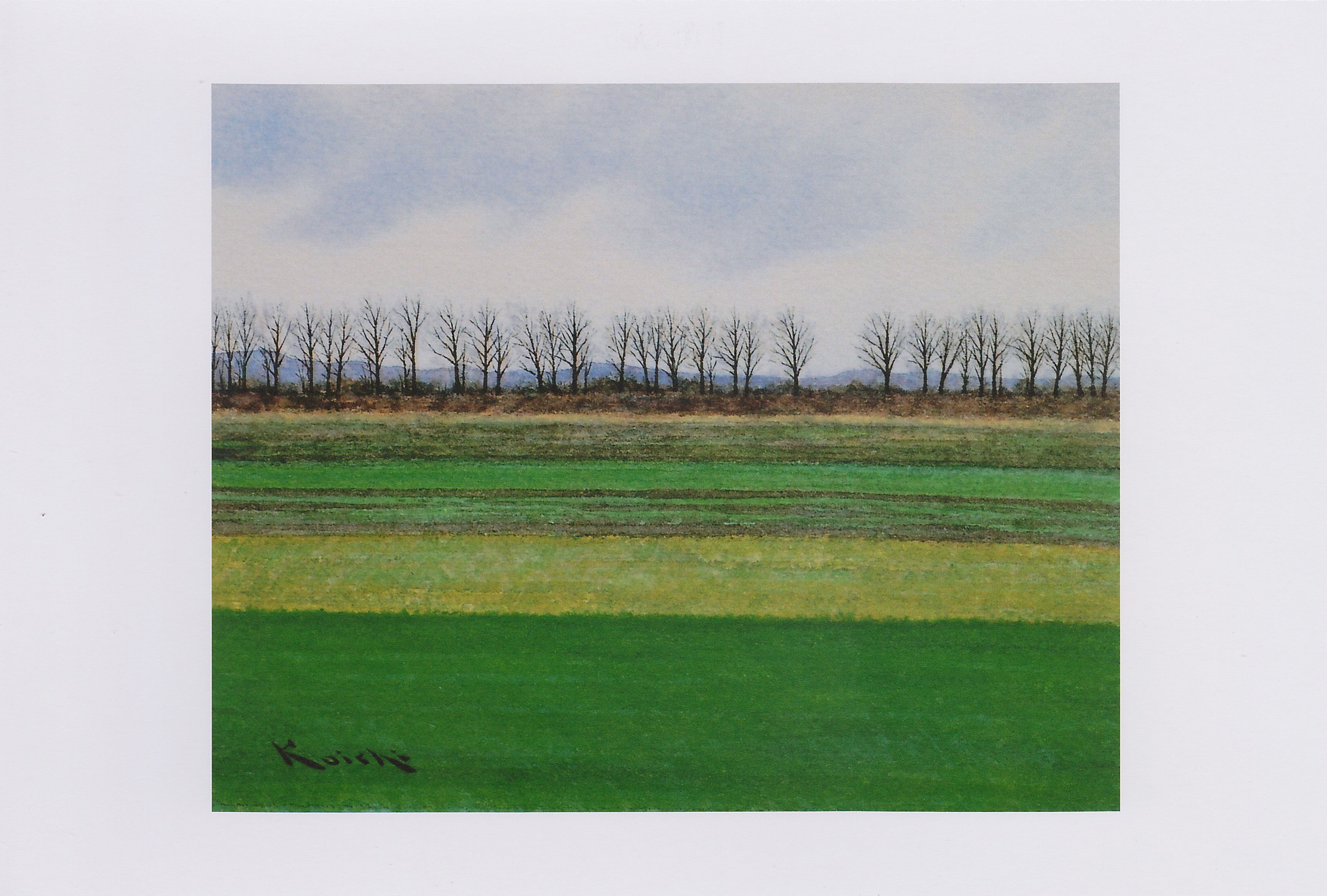 絵葉書『防風林』