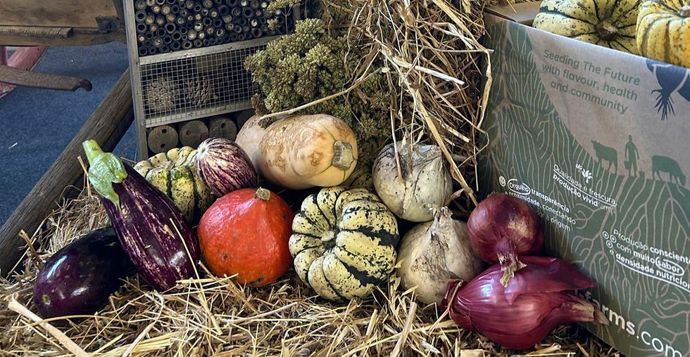 Can Food Transform Medicine | VIVID FARMS