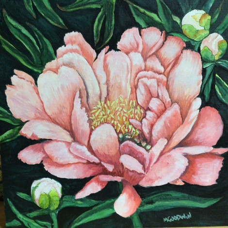 Pink Peony
