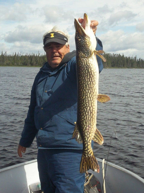 fish10.jpeg
