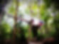 A28F9F25-AE17-4CAE-A82B-B5DC2C7FED11_edited.jpg