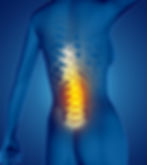 human-spine.jpg