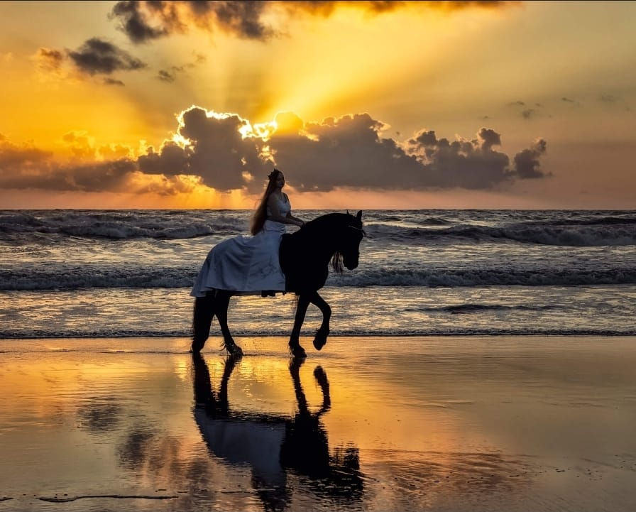 Top 7 Reasons to Try Horse Riding in Essaouira