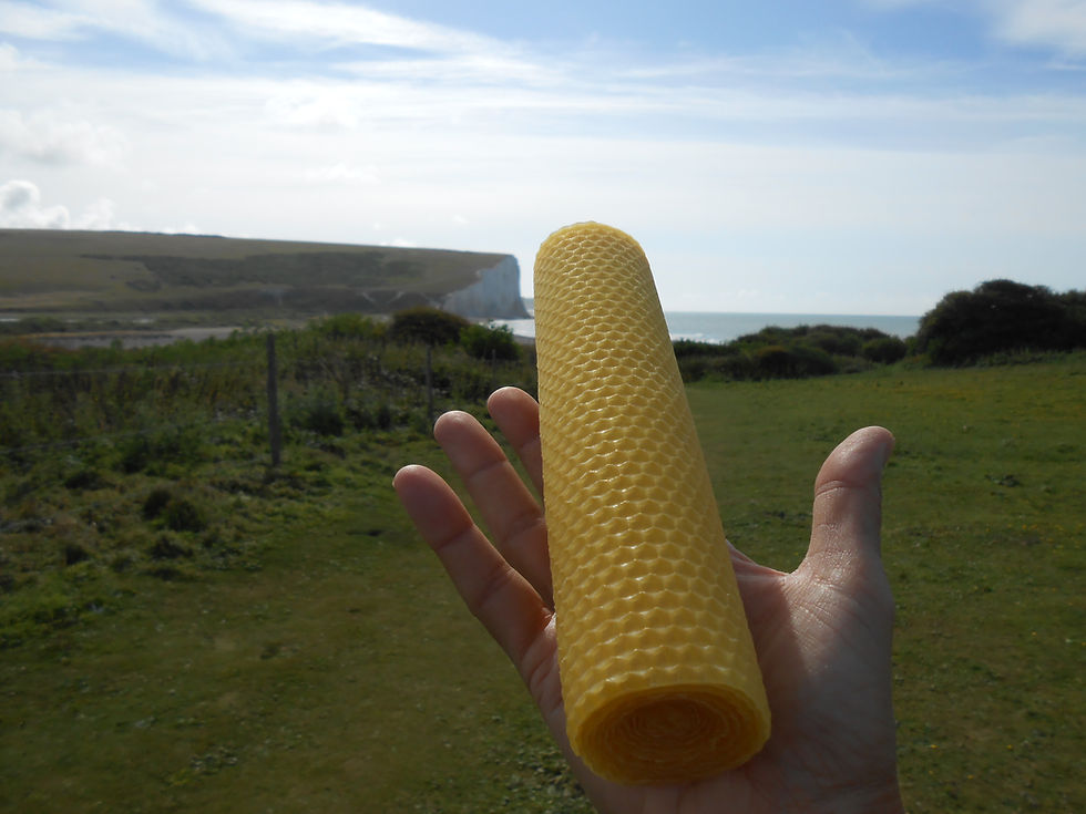 Thumbnail: Chunkie - single large chunkie candle