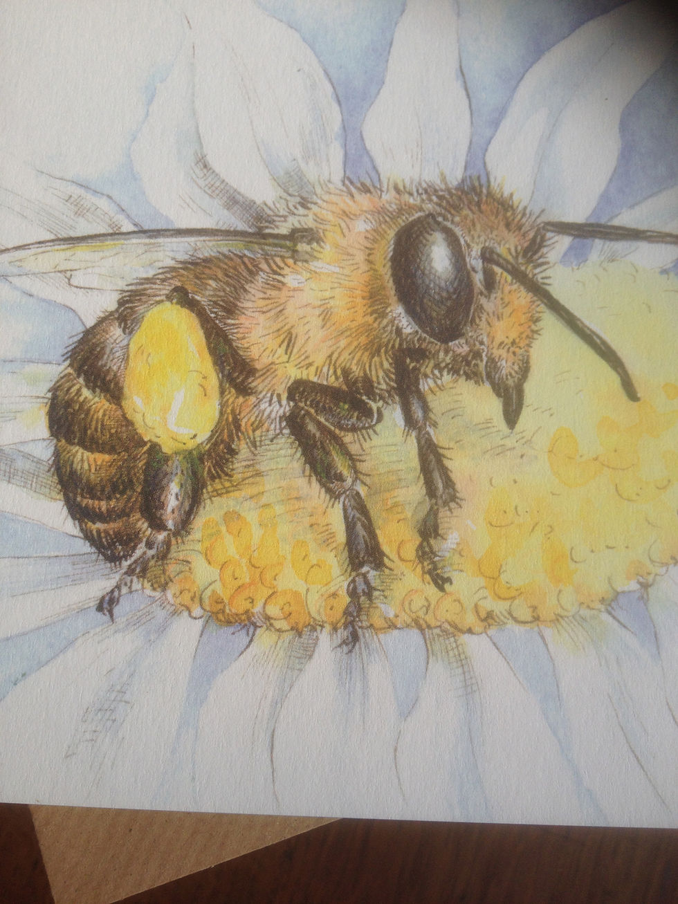 Thumbnail: Honey bee on flower