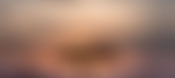 Chaos in Central Africa: A Fight for Stability