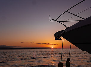 IMG_1185.JPG