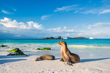 iStock-674781548.jpg