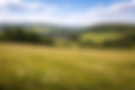 667b8a3a-424e-4d82-a5e7-20dd5f60fb9d.png