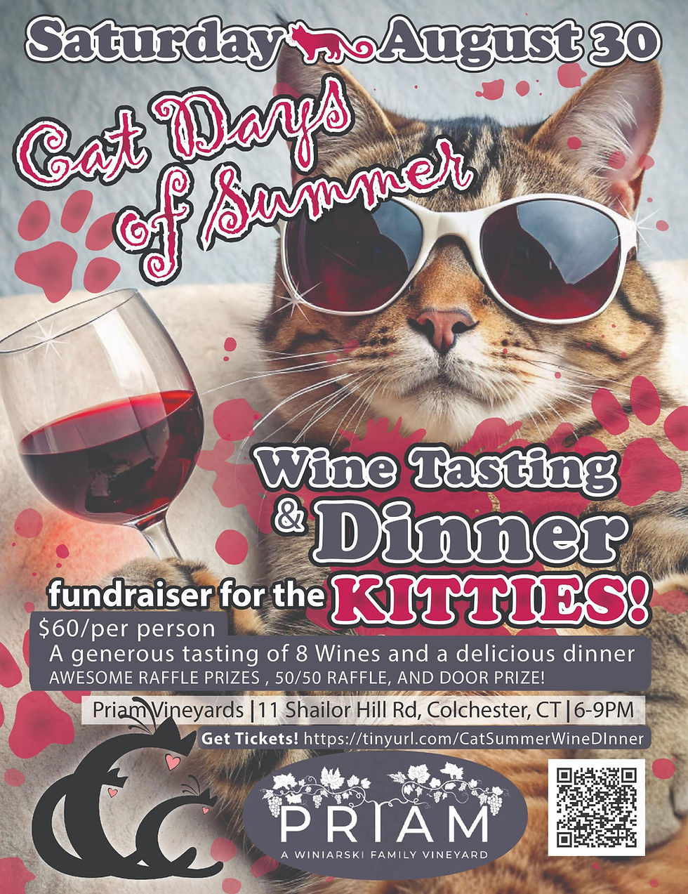 Cat Days of Summer Fundraiser
