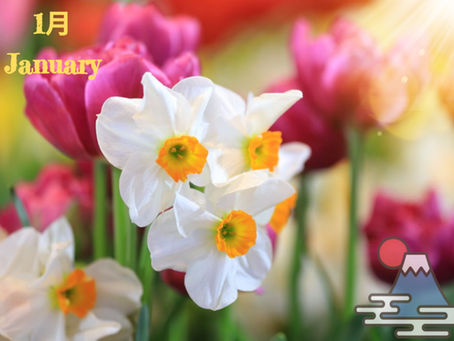 みなば通信 ☆1月号掲載