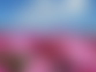 みなば通信 ☆9月号掲載