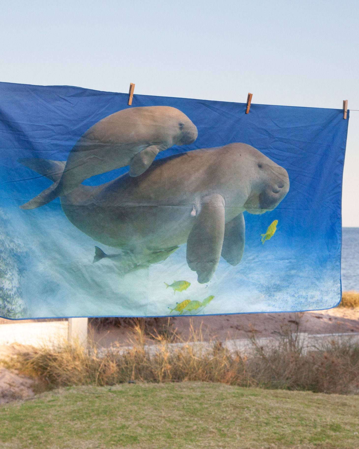 Dugongs - Sand Free Beach Towel