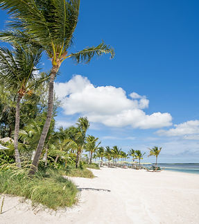 CEL_Perfect_Day_Coco_Cay_Beach_Club_17 (1).jpg