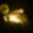 a cat laying on a couch next to a lamp_edited.jpg