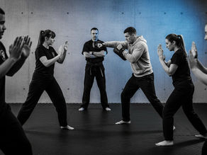 The Performance Krav Maga Curriculum: A Roadmap from Instinct to Mastery
