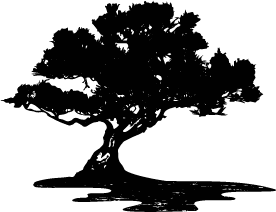ShadyExtracts_Icon_Black.png