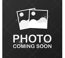 photo-coming-soon_edited.jpg