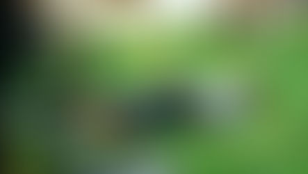 Mit 48km/h im Durchschnitt zum Sieg