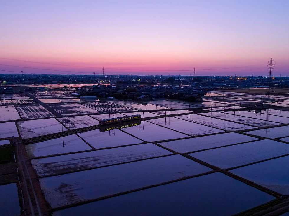 DJI_0038.jpg