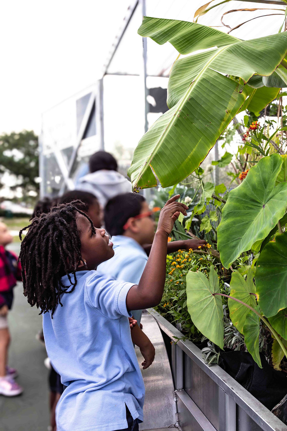 Banner Lake Academy is visited by House of Hope Traveling Nutrition Garden