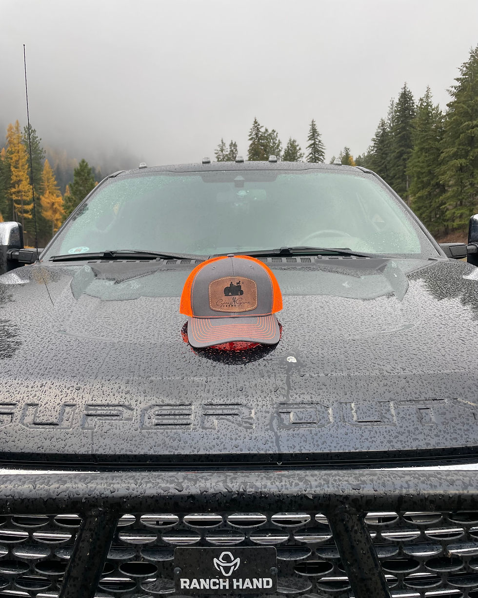 Thumbnail: Hunter Orange Hat with Leather Logo