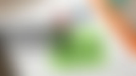 Como iniciar nas apostas esportivas